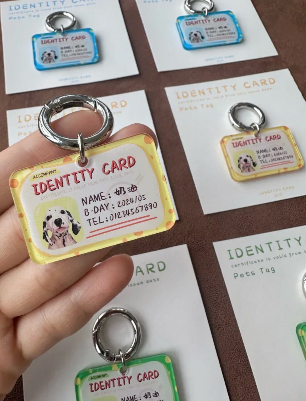 PawsCube Personalized Pet ID Collar Tags: Photo Customization, Dopamine Color Collar Set, Fashionable and Cute Pet Equipment